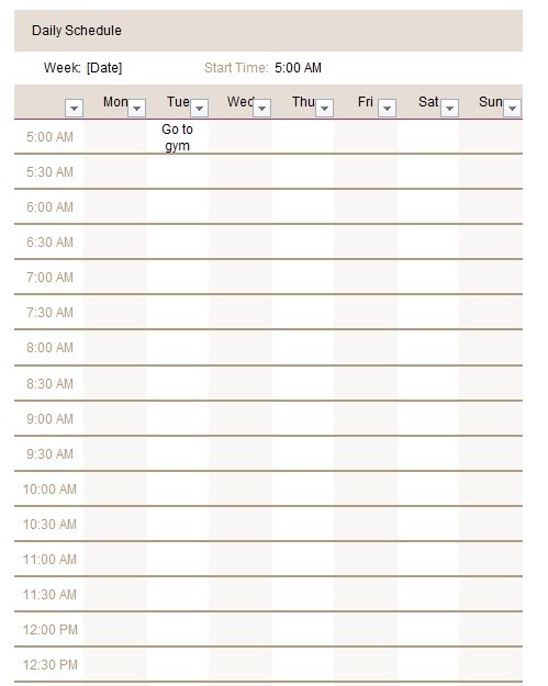 Sample Daily Schedule Template Schedule Templates