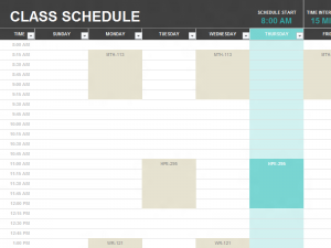 9 Free School Schedule Templates in MS Word and MS Excel